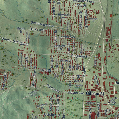 Second close-up of the map of West Plains, Missouri print showing more streets and buildings