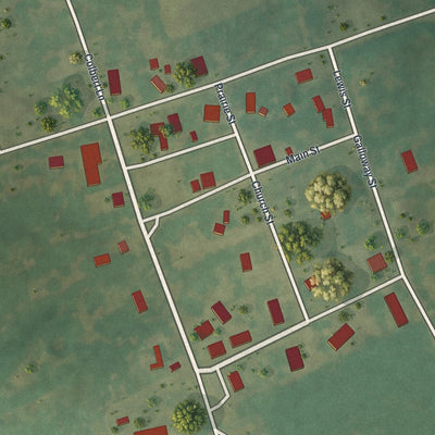 Close-up of the map of Whiteside, Missouri print showing street and building detail