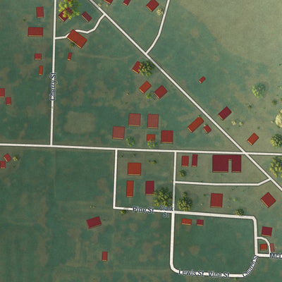 Close-up of the map of Williamstown, Missouri print showing street and building detail