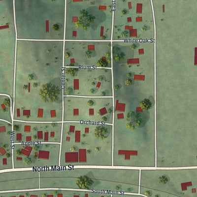 Close-up of the map of Williamsville, Missouri print showing street and building detail