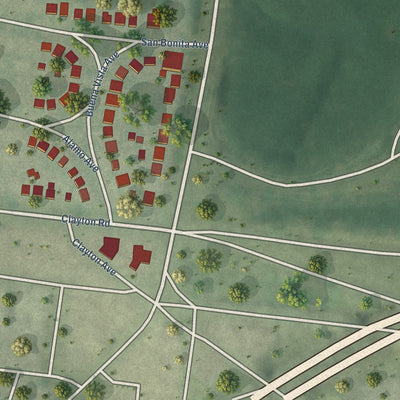 Close-up of the map of Wydown Skinker, Missouri print showing street and building detail