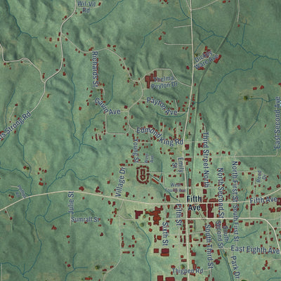 Close-up of the map of Bay Springs, Mississippi print showing street and building detail