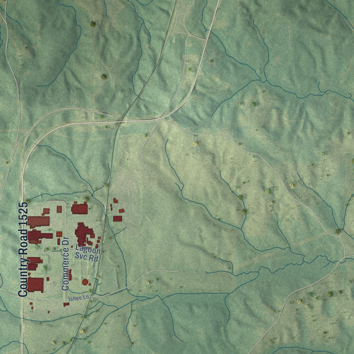 Second close-up of the map of Bay Springs, Mississippi print showing more streets and buildings