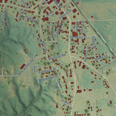 Close-up of the map of Belmont, Mississippi print showing street and building detail