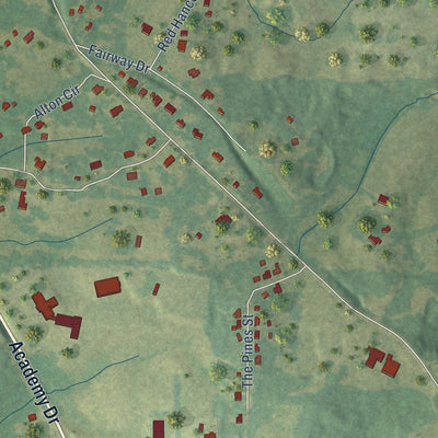 Close-up of the map of Benton, Mississippi print showing street and building detail