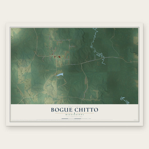 Bogue Chitto, Neshoba County, Mississippi map print, the full design