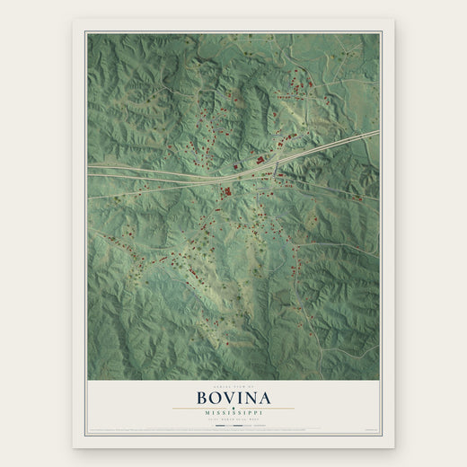 Bovina, Mississippi map print, the full design