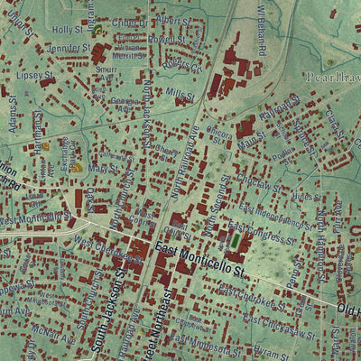 Close-up of the map of Brookhaven, Mississippi print showing street and building detail