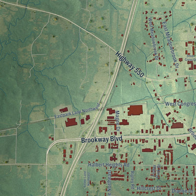 Second close-up of the map of Brookhaven, Mississippi print showing more streets and buildings