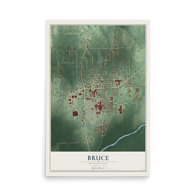 Map of Bruce, Mississippi, 12 x 18 inch unframed archival matte print