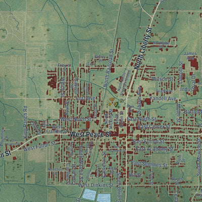 Close-up of the map of Canton, Mississippi print showing street and building detail