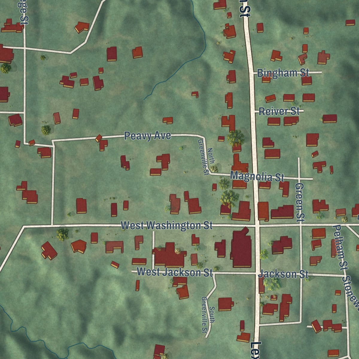 Close-up of the map of Carrollton, Mississippi print showing street and building detail