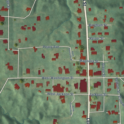 Close-up of the map of Carrollton, Mississippi print showing street and building detail