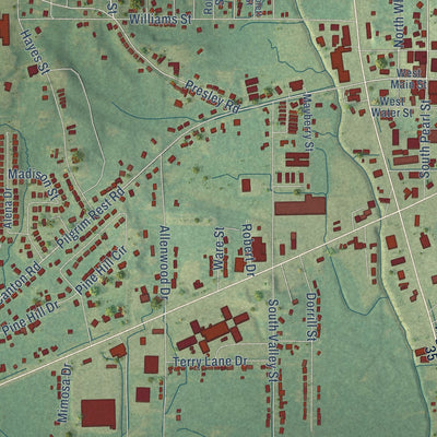 Close-up of the map of Carthage, Mississippi print showing street and building detail