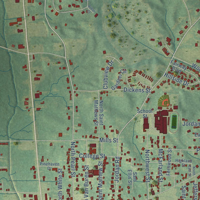Second close-up of the map of Carthage, Mississippi print showing more streets and buildings