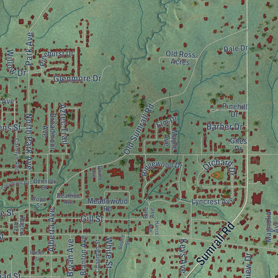 Close-up of the map of Columbia, Mississippi print showing street and building detail