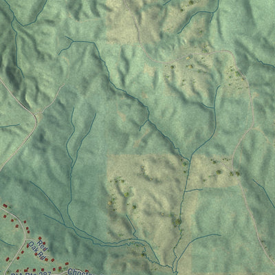 Close-up of the map of Conehatta, Mississippi print showing street and building detail