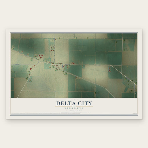 Delta City, Mississippi map print, the full design