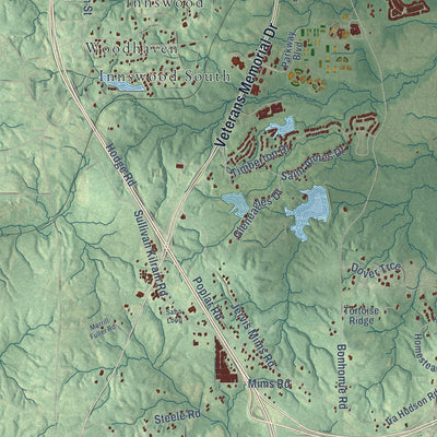 Close-up of the map of Dixie, Mississippi print showing street and building detail