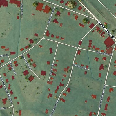 Close-up of the map of Duck Hill, Mississippi print showing street and building detail