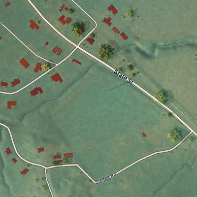 Second close-up of the map of Duck Hill, Mississippi print showing more streets and buildings