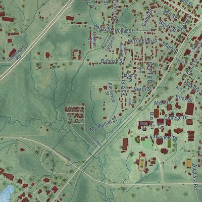 Close-up of the map of Ellisville, Mississippi print showing street and building detail