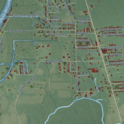 Close-up of the map of Escatawpa, Mississippi print showing street and building detail