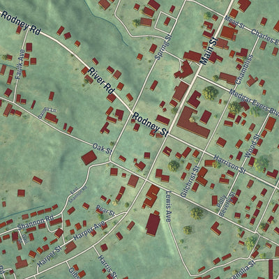 Close-up of the map of Fayette, Mississippi print showing street and building detail