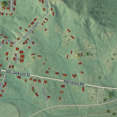 Second close-up of the map of Fayette, Mississippi print showing more streets and buildings