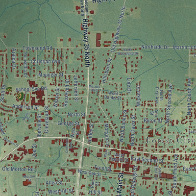 Close-up of the map of Forest, Mississippi print showing street and building detail