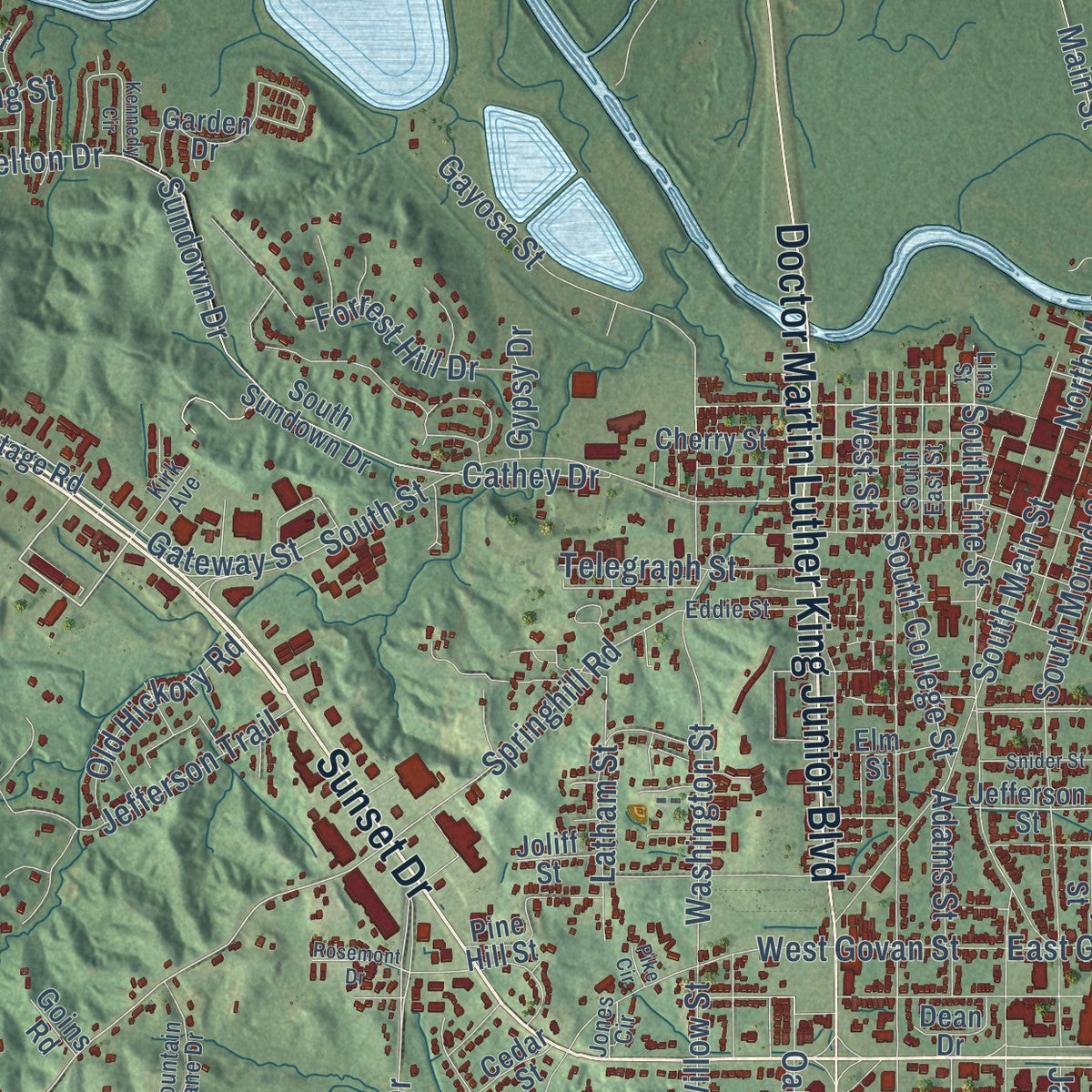 Close-up of the map of Grenada, Mississippi print showing street and building detail