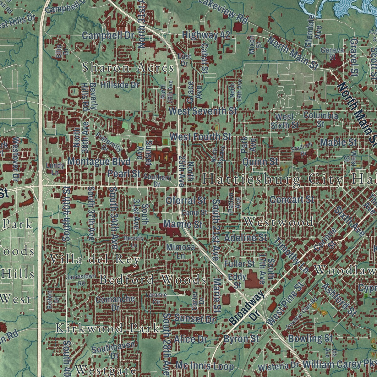 Close-up of the map of Hattiesburg, Mississippi print showing street and building detail