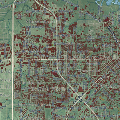 Close-up of the map of Hattiesburg, Mississippi print showing street and building detail