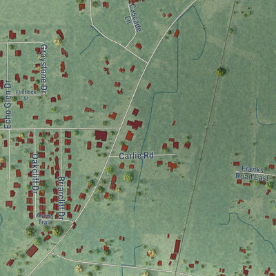 Close-up of the map of Helena, Mississippi print showing street and building detail