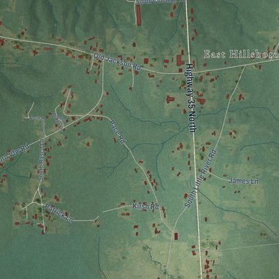 Close-up of the map of Hillsboro, Mississippi print showing street and building detail