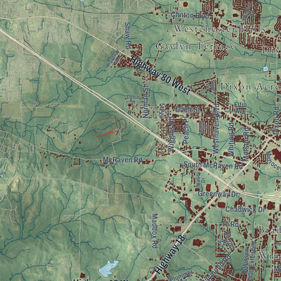 Second close-up of the map of Jackson, Mississippi print showing more streets and buildings