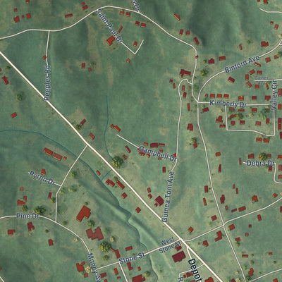 Close-up of the map of Kilmichael, Mississippi print showing street and building detail