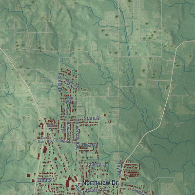 Second close-up of the map of Laurel, Mississippi print showing more streets and buildings
