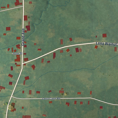 Second close-up of the map of Lena, Mississippi print showing more streets and buildings