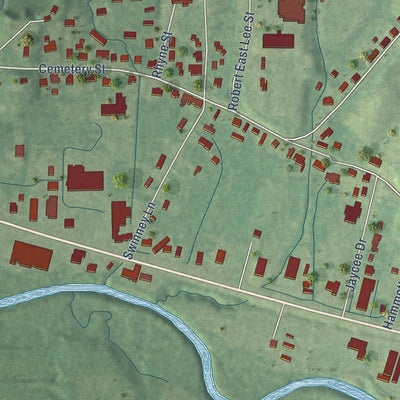 Second close-up of the map of Lexington, Mississippi print showing more streets and buildings