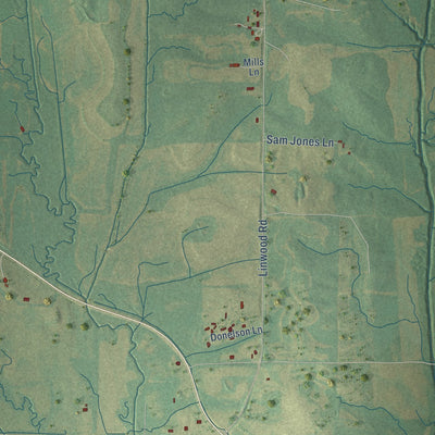 Close-up of the map of Linwood, Mississippi print showing street and building detail