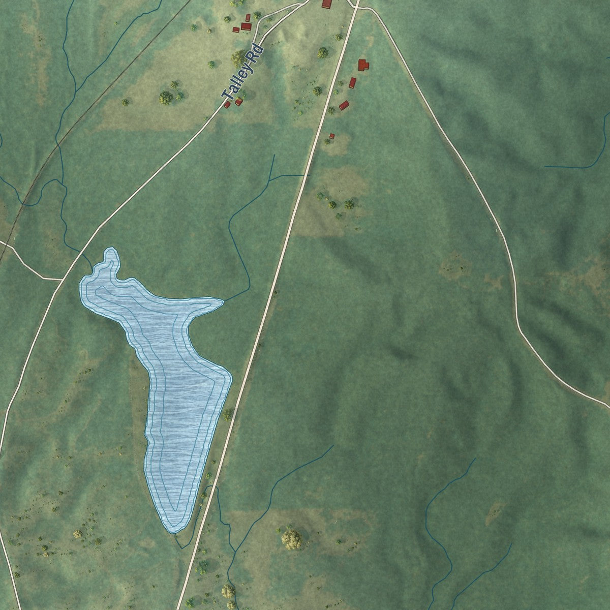 Second close-up of the map of Louin, Mississippi print showing more streets and buildings