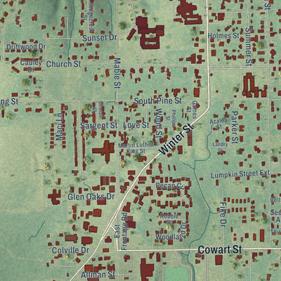 Close-up of the map of Lucedale, Mississippi print showing street and building detail