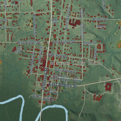 Close-up of the map of Macon, Mississippi print showing street and building detail