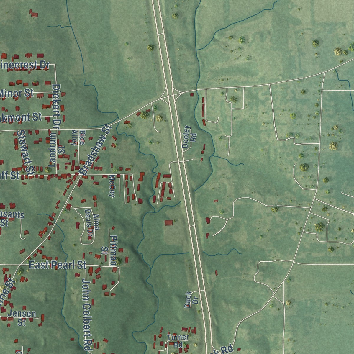 Second close-up of the map of Macon, Mississippi print showing more streets and buildings