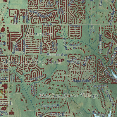 Close-up of the map of Madison, Mississippi print showing street and building detail