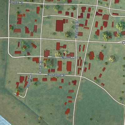 Close-up of the map of Mayersville, Mississippi print showing street and building detail