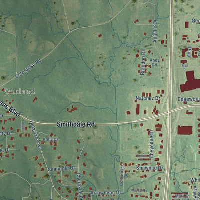 Second close-up of the map of McComb, Mississippi print showing more streets and buildings