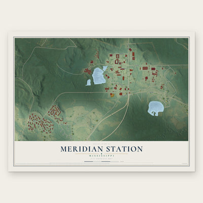 Meridian Station, Mississippi map print, the full design