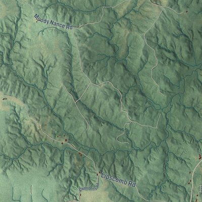 Close-up of the map of Nanih Waiya, Mississippi print showing street and building detail